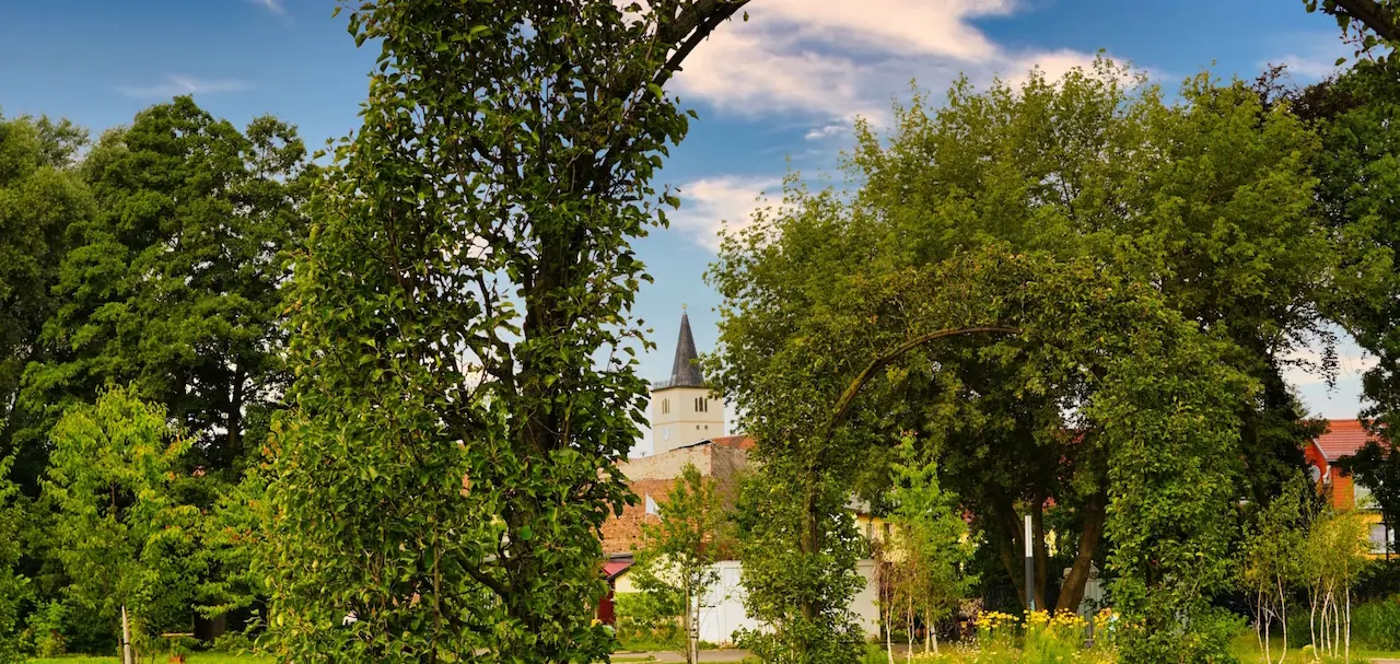 In der Stadtpfarrkirche St. Marien und St. Nikolai werden ab Mitte April wechselnde Blumenschauen der Gartenausstellung präsentiert. Foto: LAGA Beelitz gGmbH