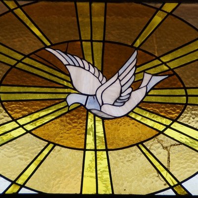 Christen feiern an Pfingsten das Fest des Heiligen Geistes. Symbol dafür ist die Taube. Foto: Pixabay