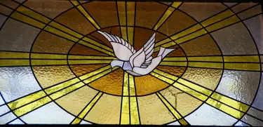 Christen feiern an Pfingsten das Fest des Heiligen Geistes. Symbol dafür ist die Taube. Foto: Pixabay