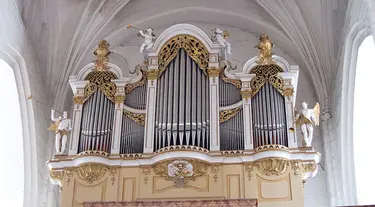Die Orgel in der Cottbuser Nikolaikirche. Foto: Ev. Kirchenkreis Cottbus